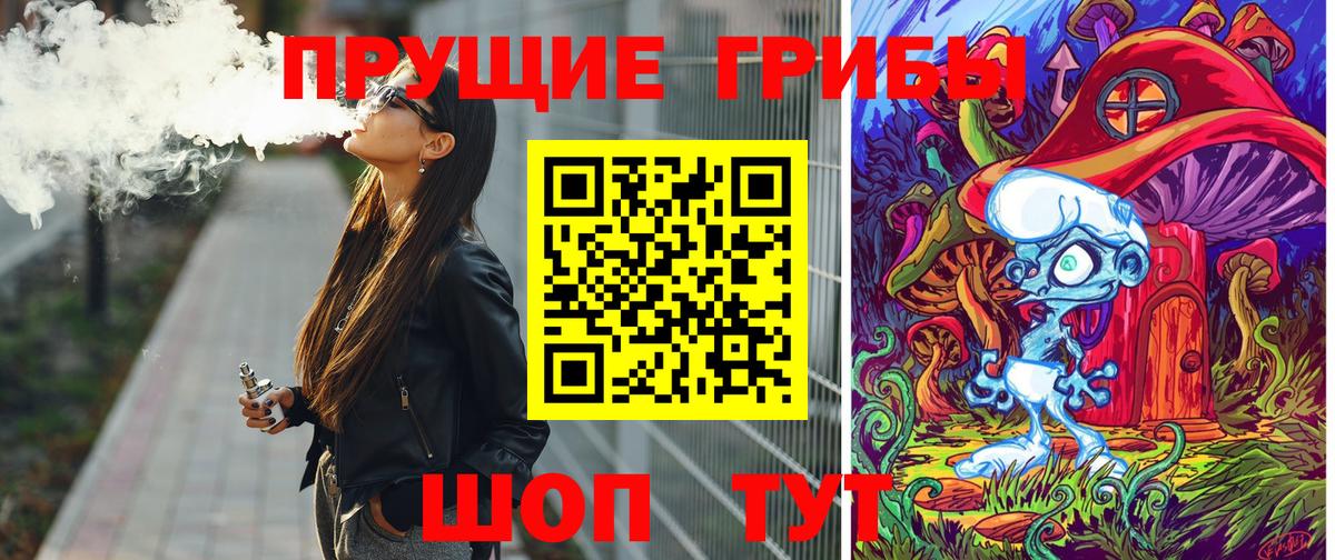 Галлюциногенные грибы Psilocybe Шарыпово